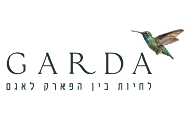Project Logo